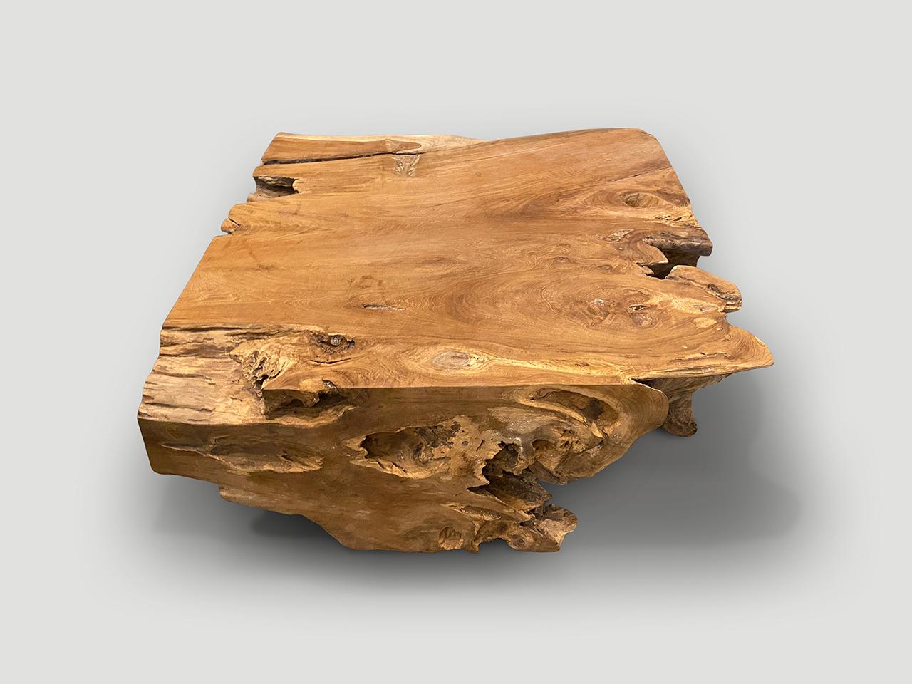 Contemporary Andrianna Shamaris Impressive Organic Teak Wood Coffee Table