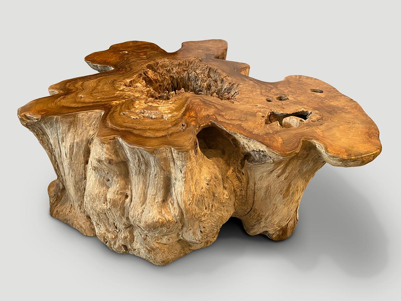 Impressionnante table basse en bois de teck organique Andrianna Shamaris en vente 1