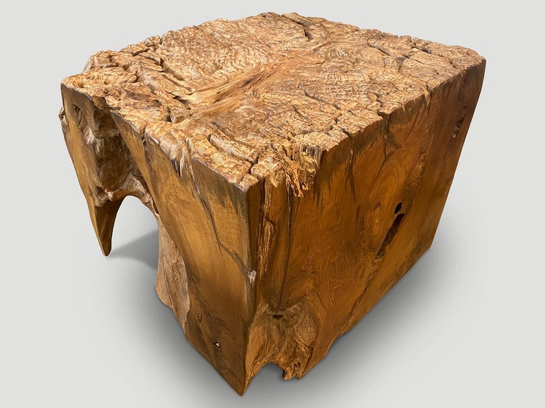 Contemporary Andrianna Shamaris Impressive Organic Teak Wood Side Table or Pedestal For Sale