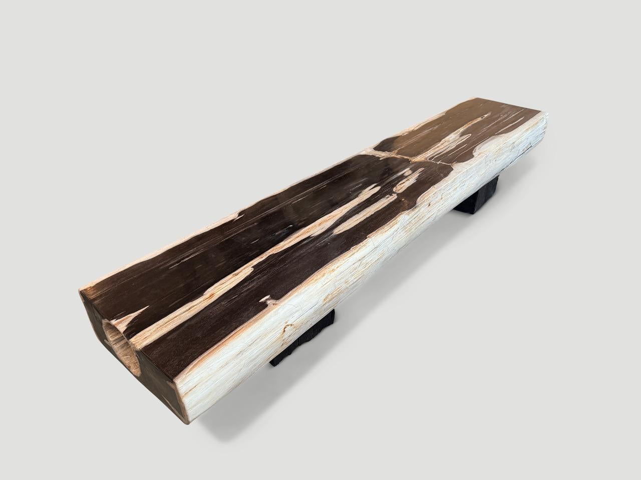 Impressionnant banc en bois pétrifié Andrianna Shamaris en vente 3