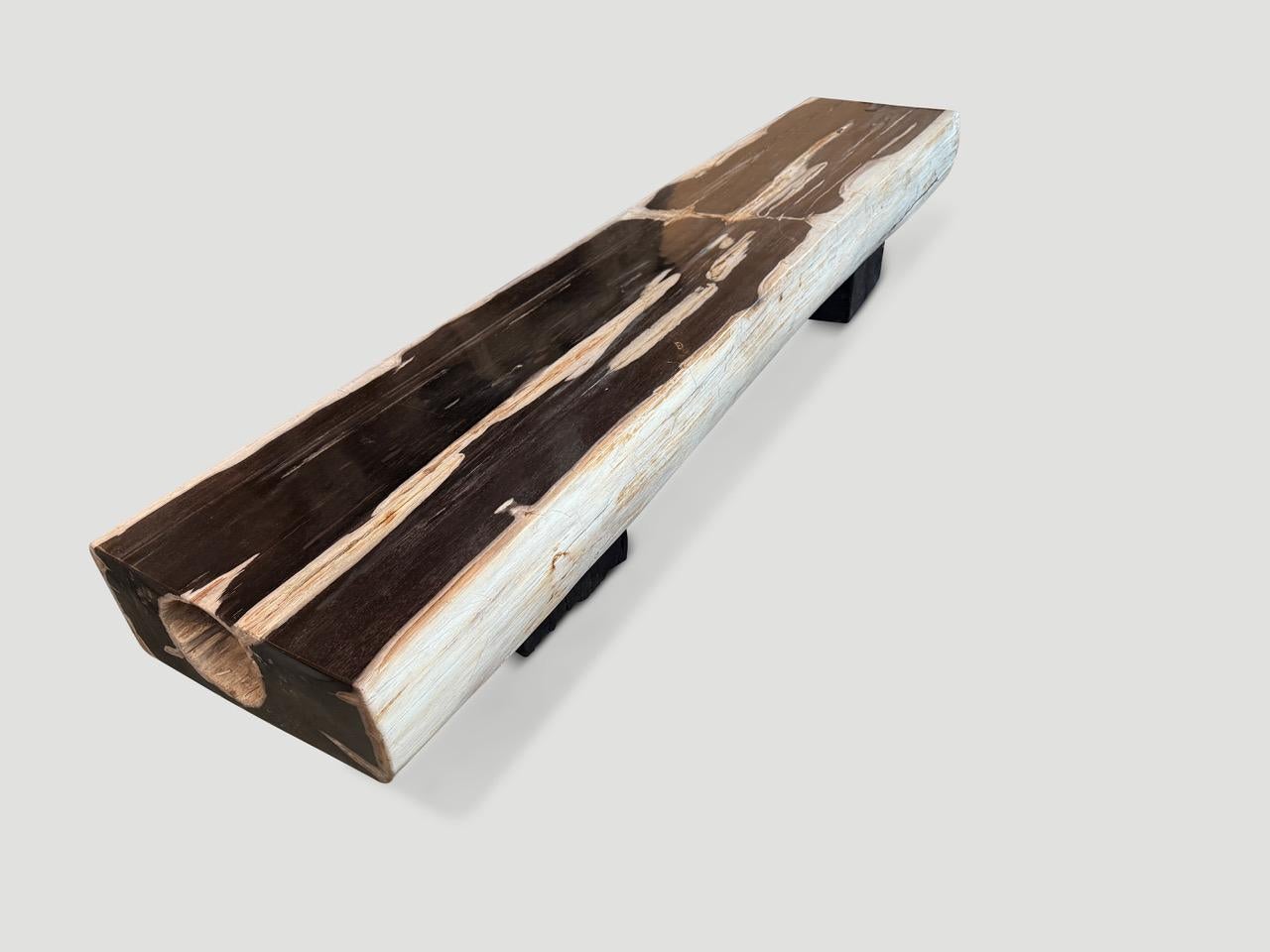 Impressionnant banc en bois pétrifié Andrianna Shamaris en vente 5