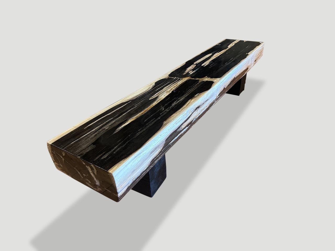 Organic Modern Andrianna Shamaris Impressive Petrified Wood Bench For Sale
