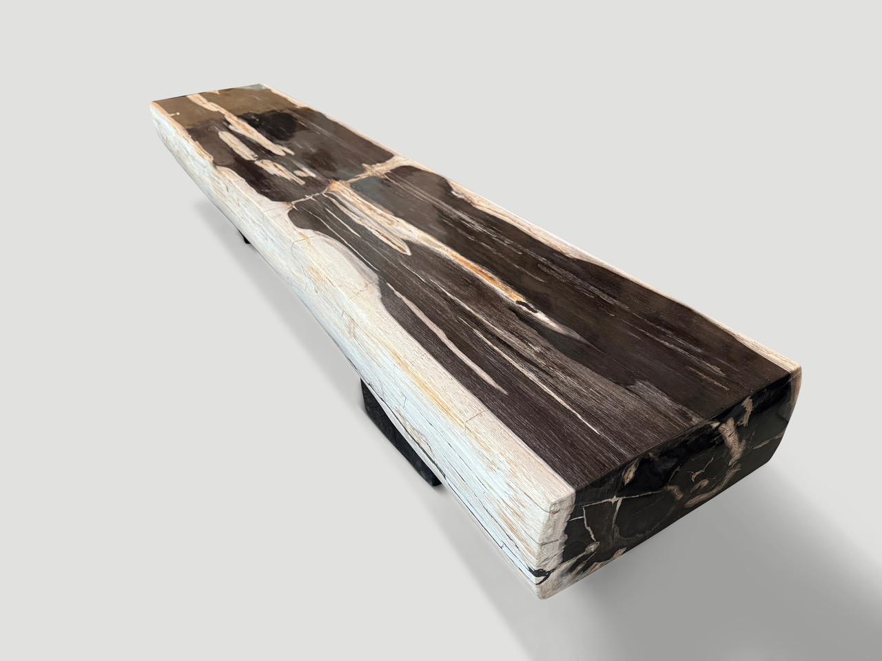 Impressionnant banc en bois pétrifié Andrianna Shamaris en vente 2