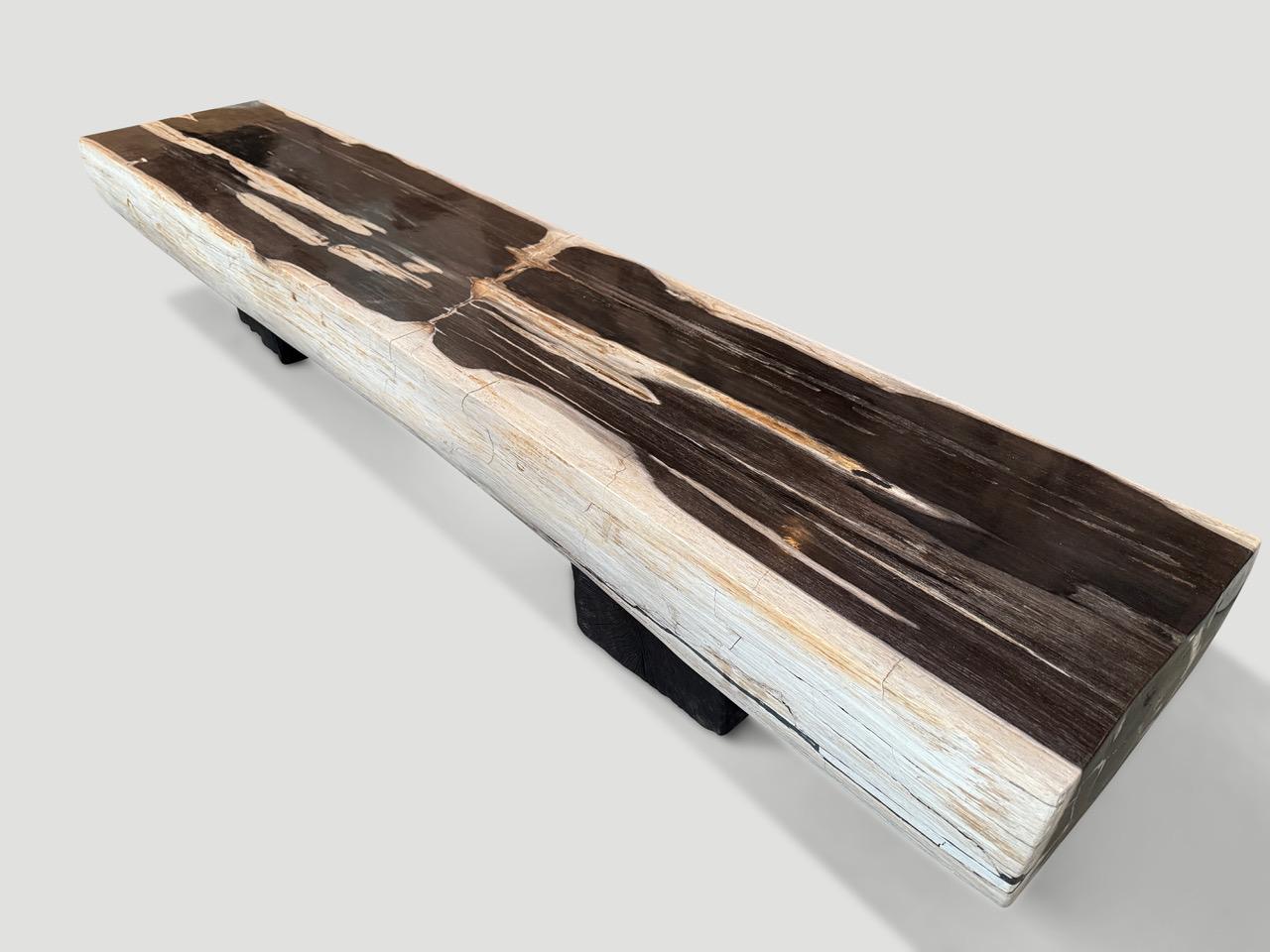 Impressionnant banc en bois pétrifié Andrianna Shamaris en vente 4