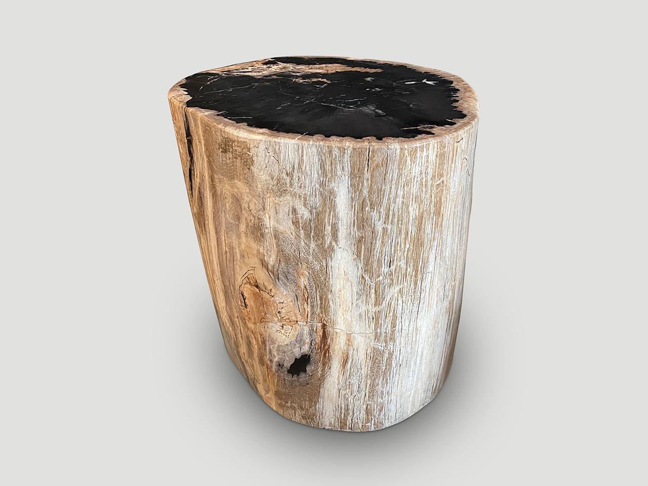 Beautiful tones and markings on this large impressive high quality petrified wood side table. It’s fascinating how Mother Nature produces these exquisite 40 million year old petrified teak logs with such contrasting colors and natural patterns