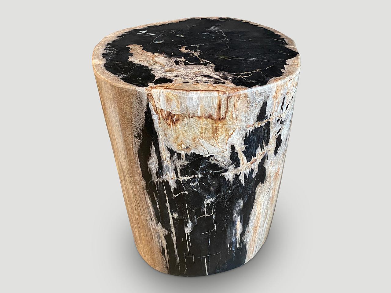 Andrianna Shamaris Impressive Petrified Wood Side Table In Excellent Condition In New York, NY