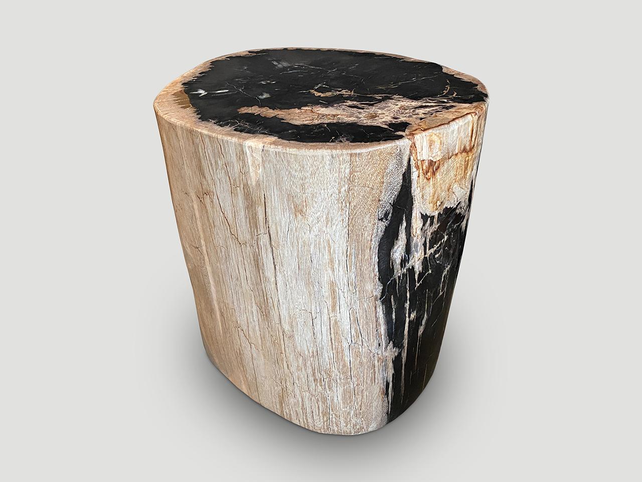 Contemporary Andrianna Shamaris Impressive Petrified Wood Side Table