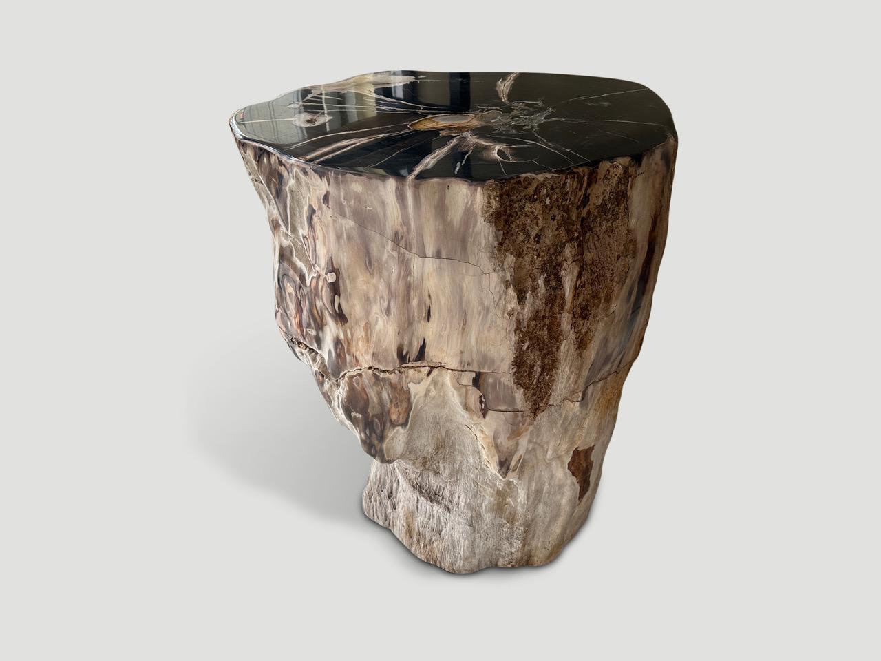 Beautiful contrasting tones and markings on this impressive high quality petrified wood side table or pedestal. It’s fascinating how Mother Nature produces these exquisite 40 million year old petrified teak logs with such contrasting colors and