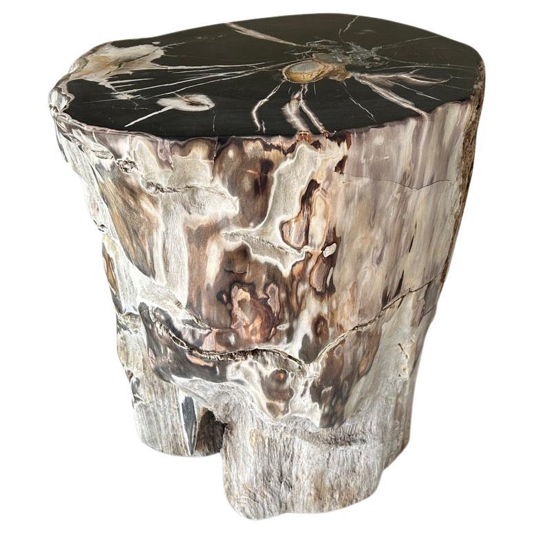 Andrianna Shamaris Impressive Petrified Wood Side Table or Pedestal For Sale