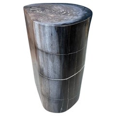 Andrianna Shamaris Impressive Petrified Wood Side Table or Pedestal Andrianna Shamaris Impressive Petrified Wood Side Table or Pedestal