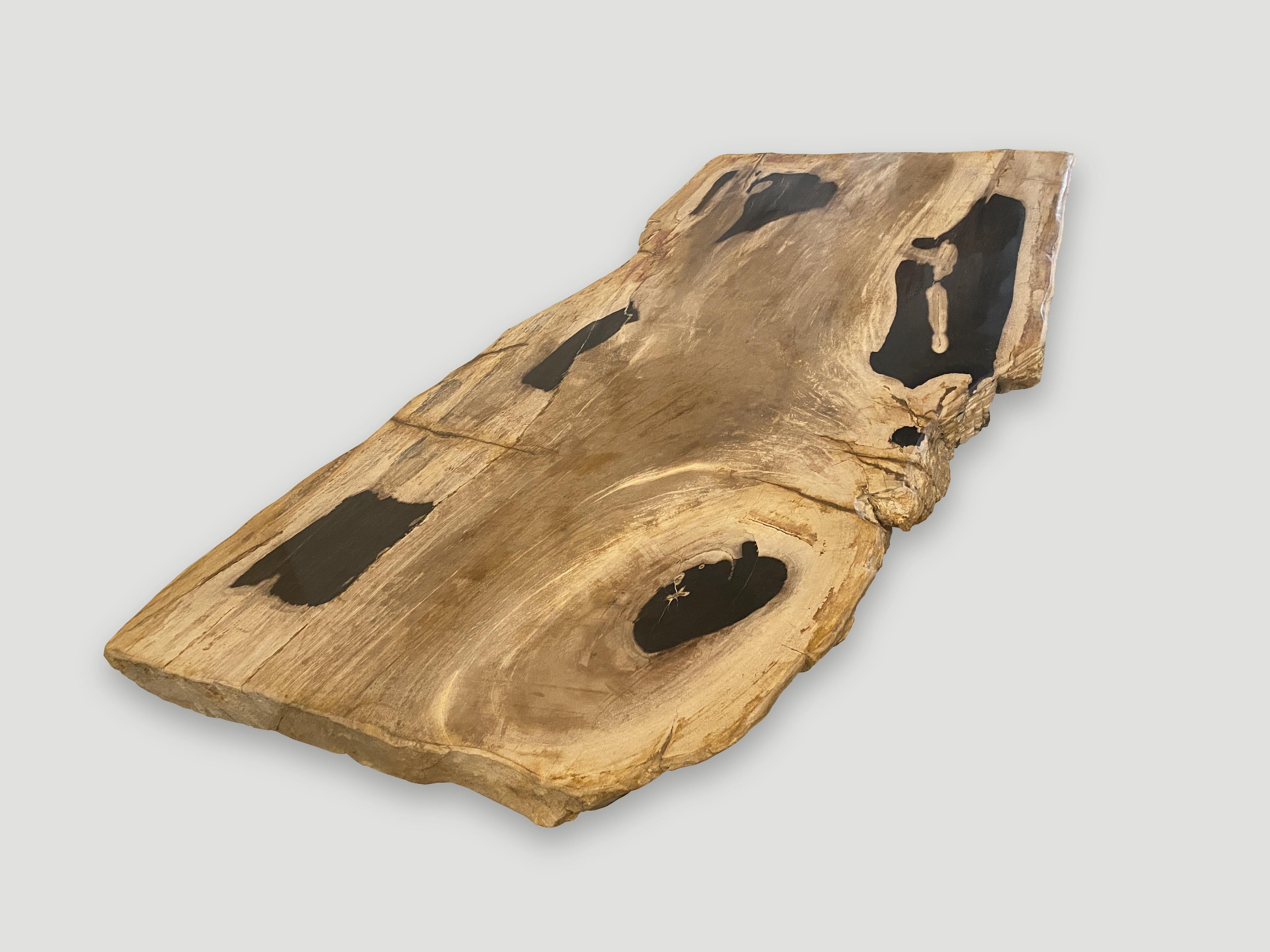 Impressive live edge single slab petrified wood with beautiful natural markings and contrasting color tones. This can be made into a coffee table, console or desk. The live edge is 23- 25