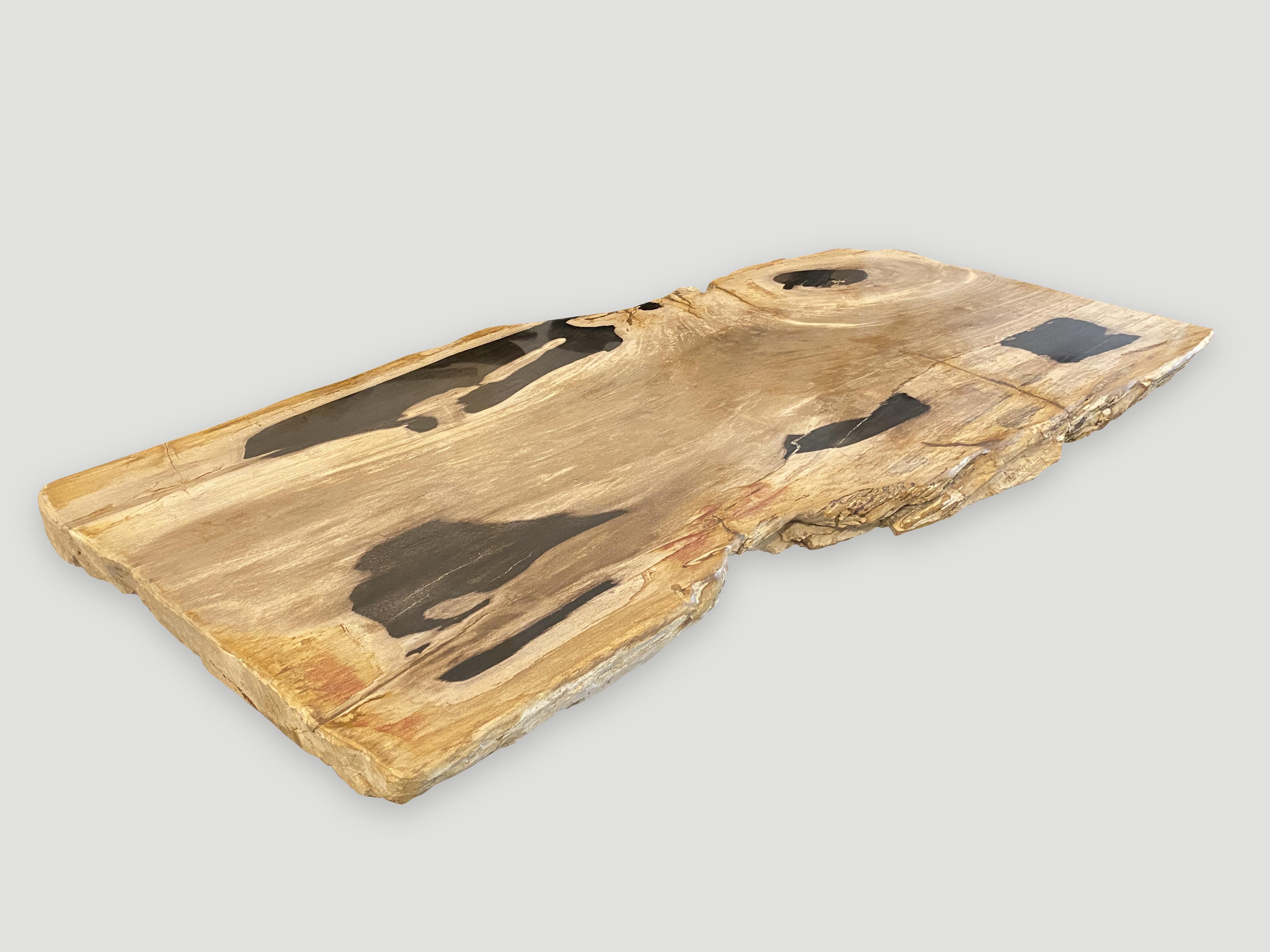 Andrianna Shamaris Impressive Petrified Wood Single Slab In Excellent Condition For Sale In New York, NY