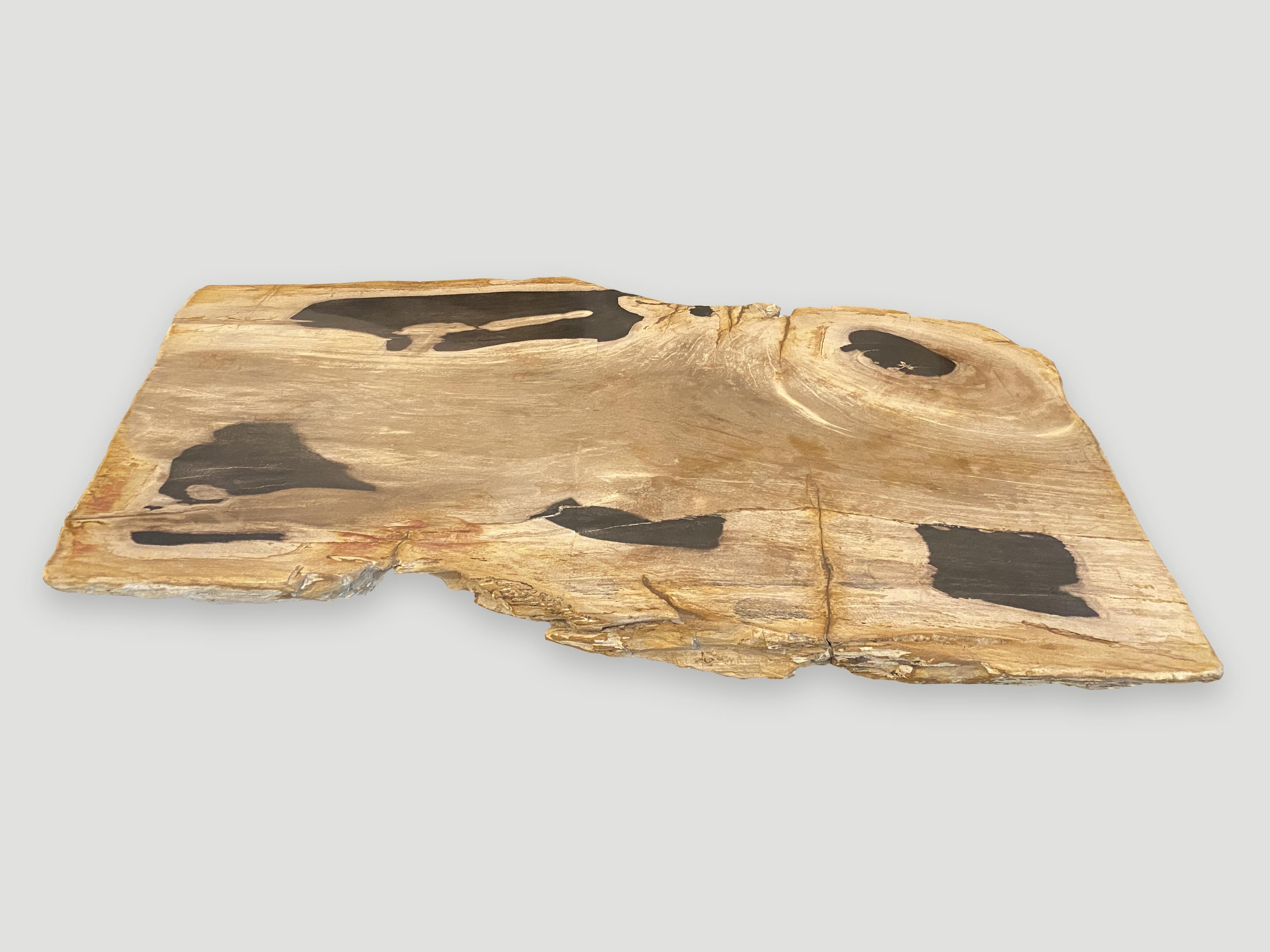 Contemporary Andrianna Shamaris Impressive Petrified Wood Single Slab For Sale