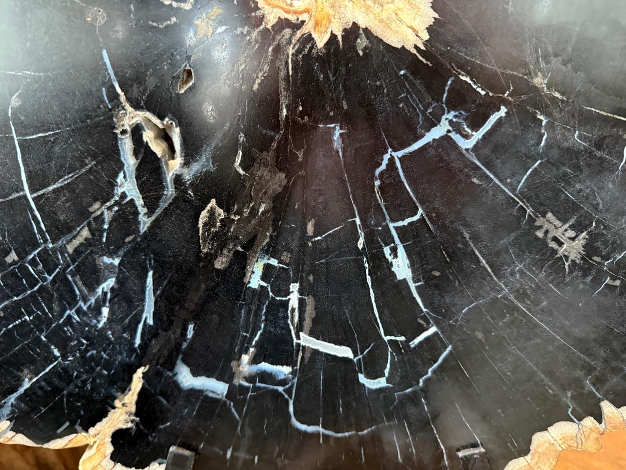 Rare tones on this one and a half thick petrified wood slab, resting on a minimalist metal base. Beautiful pale blue veins with a contrasting edge left unpolished. We have a collection of four cut from the same log. The images and price reflect the