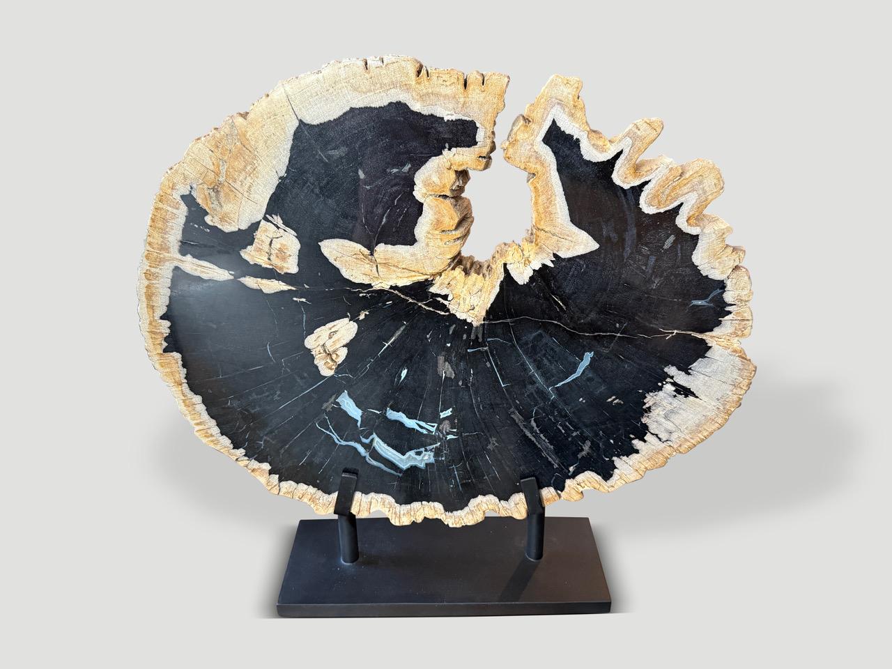 Des tons rares sur cette plaque de bois pétrifié d'une épaisseur d'un pouce et demi, reposant sur une base métallique minimaliste. Magnifiques veines bleu pâle avec un bord contrasté non poli. Nous disposons d'une collection de quatre pièces coupées