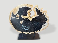 Andrianna Shamaris Impressive Rare Petrified Wood Sculpture on Stand