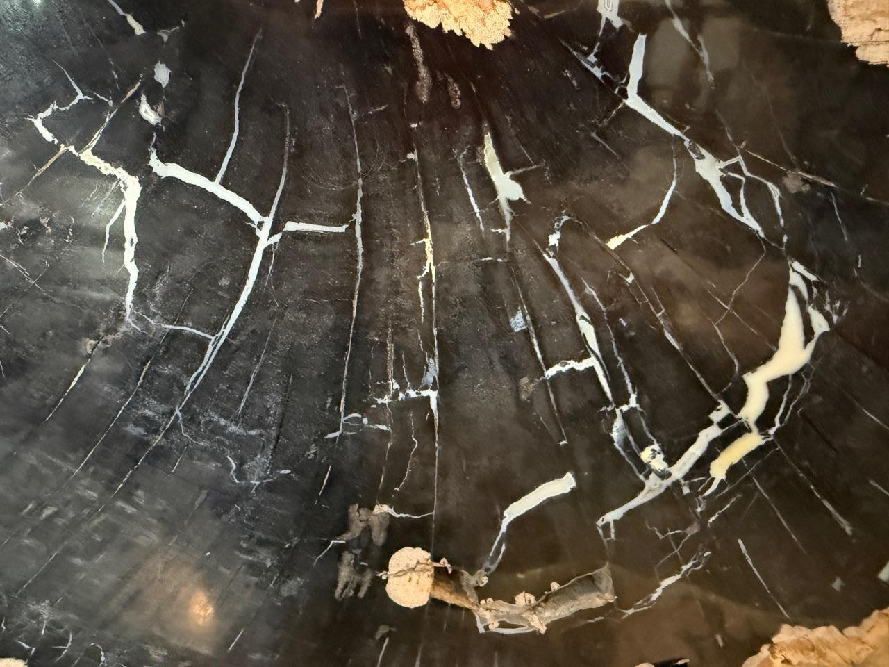 Organico moderno Andrianna Shamaris Impressionante e rara scultura in legno pietrificato su supporto in vendita