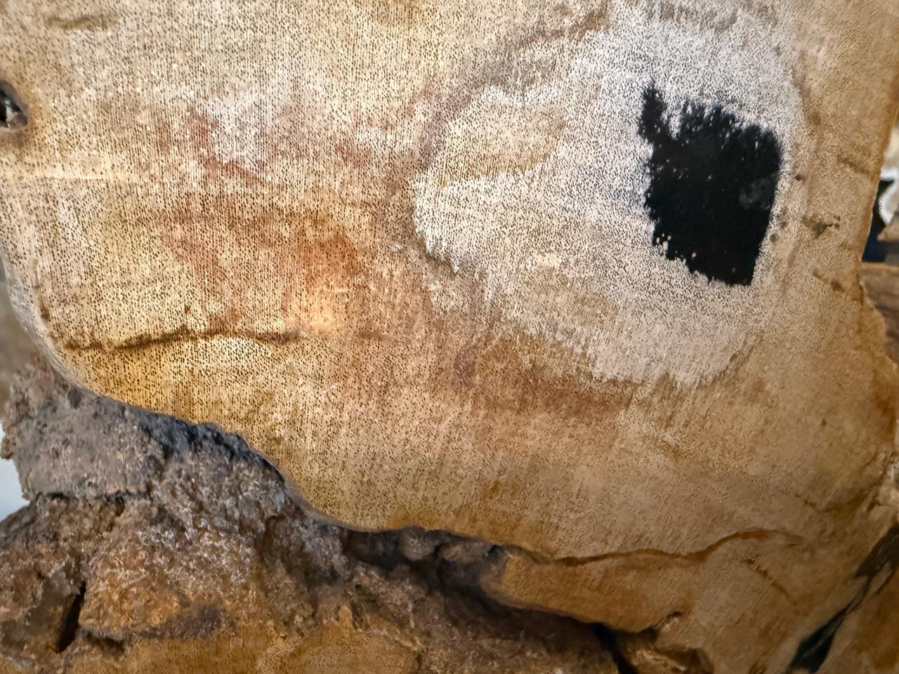 Andrianna Shamaris Impressionante e rara scultura in legno pietrificato su supporto In condizioni ottime in vendita a New York, NY