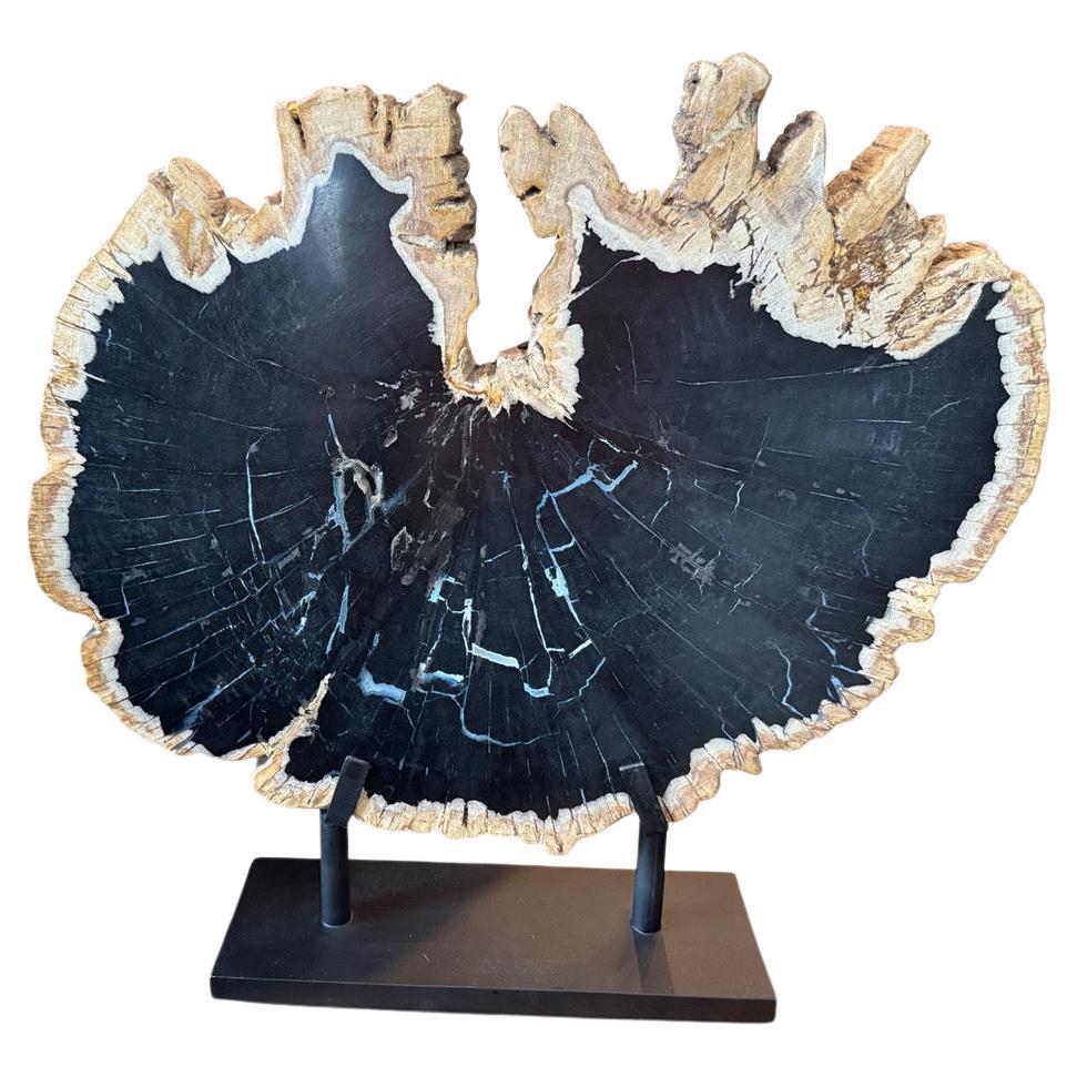 Andrianna Shamaris Impressive Rare Petrified Wood Sculpture on Stand