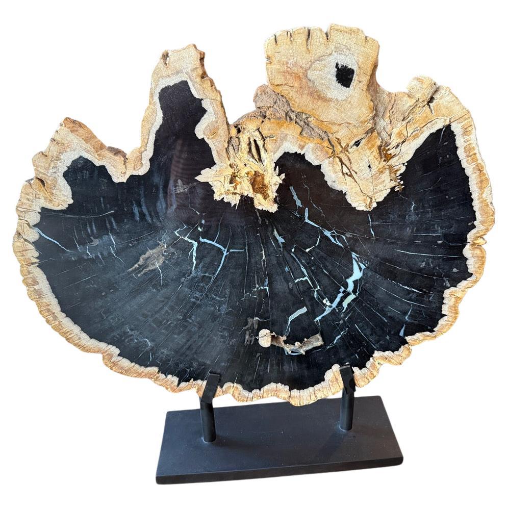 Nouveautés et articles sur mesure Mounted Objects