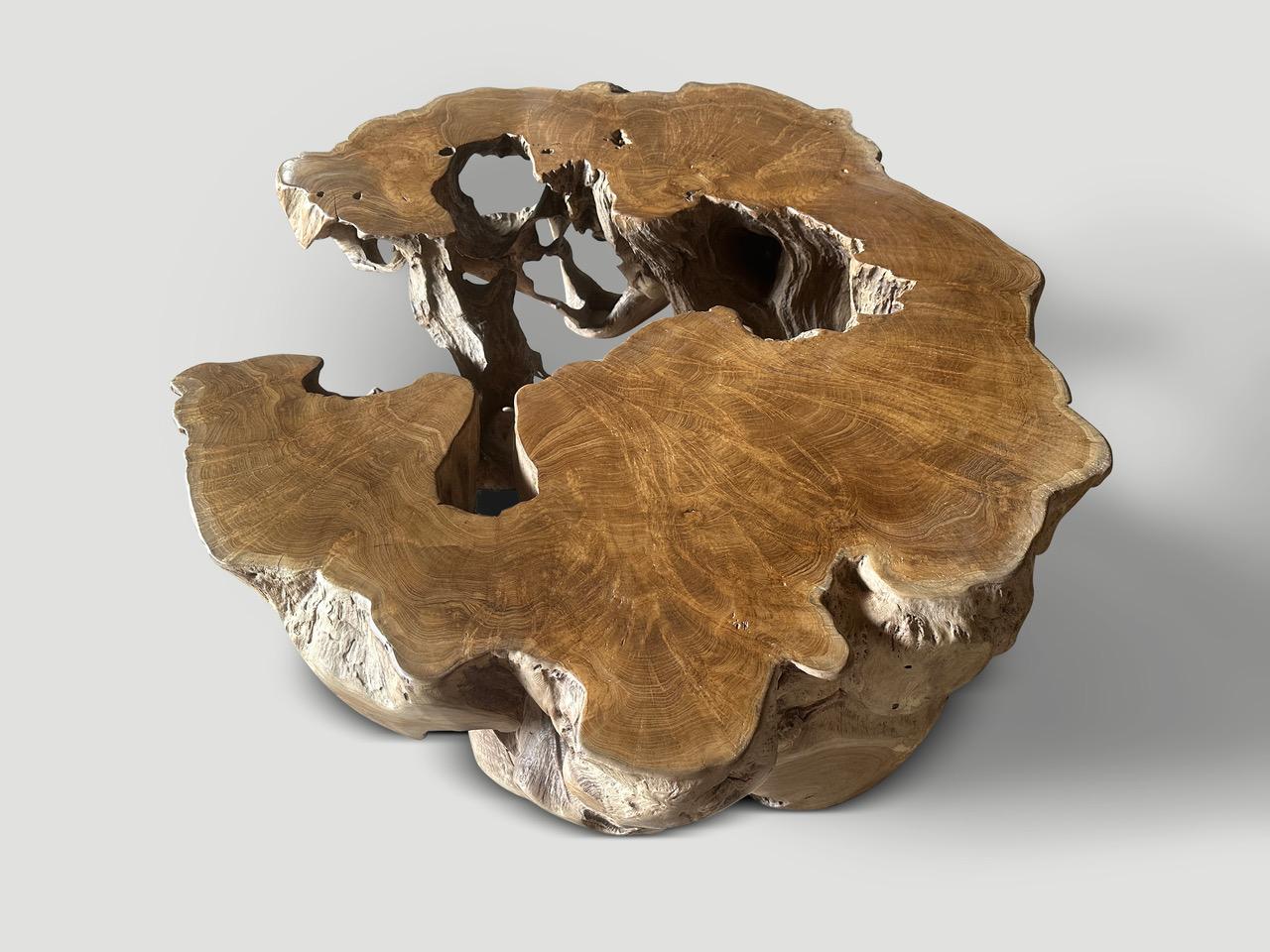 Un rare bois de teck centenaire poli, poncé et sculpté à la main tout en respectant la forme organique naturelle, et finalement transformé en une impressionnante table basse unique en son genre. Finition avec une huile naturelle révélant le