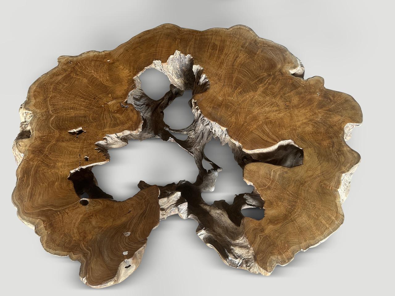 Organique Andrianna Shamaris Impressionnante table basse sculpturale en bois de teck centenaire en vente