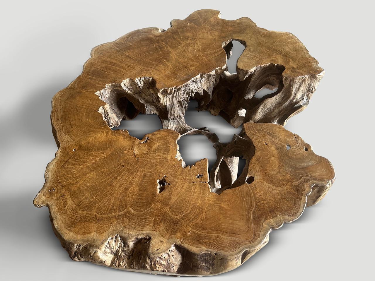 Andrianna Shamaris Impressionnante table basse sculpturale en bois de teck centenaire Excellent état - En vente à New York, NY