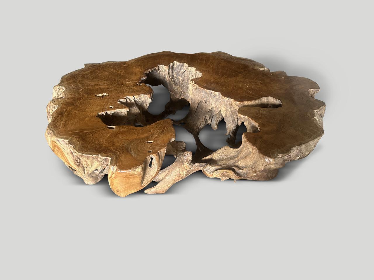 XXIe siècle et contemporain Andrianna Shamaris Impressionnante table basse sculpturale en bois de teck centenaire en vente