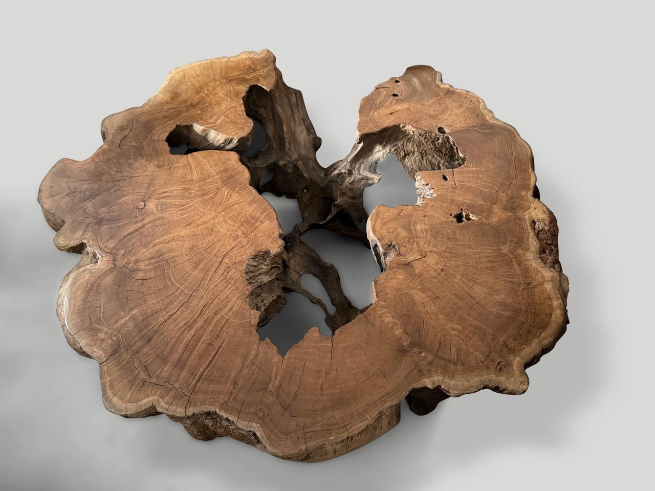 Bois Andrianna Shamaris Impressionnante table basse sculpturale en bois de teck centenaire en vente