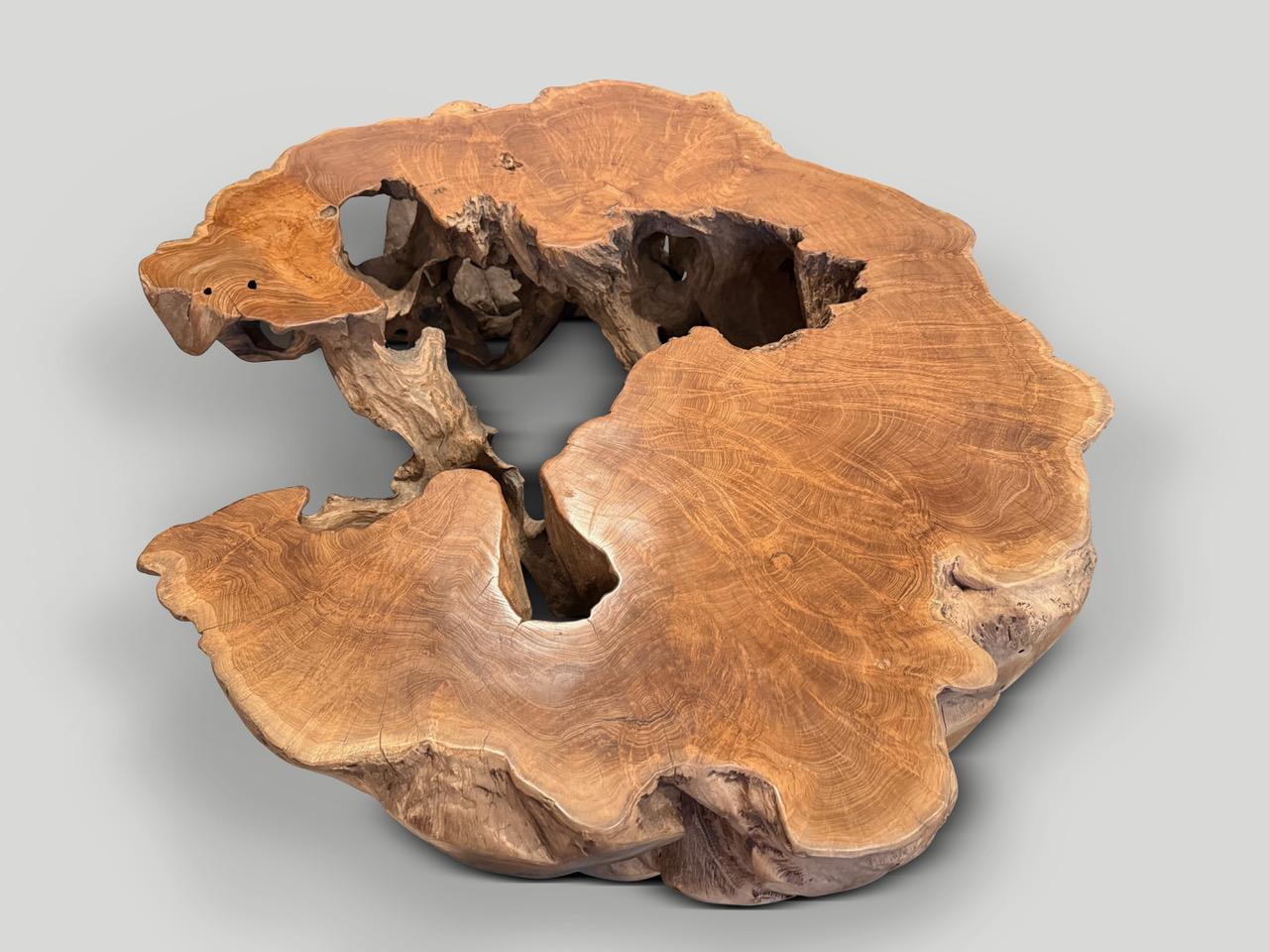 Andrianna Shamaris Impressionnante table basse sculpturale en bois de teck centenaire en vente 1