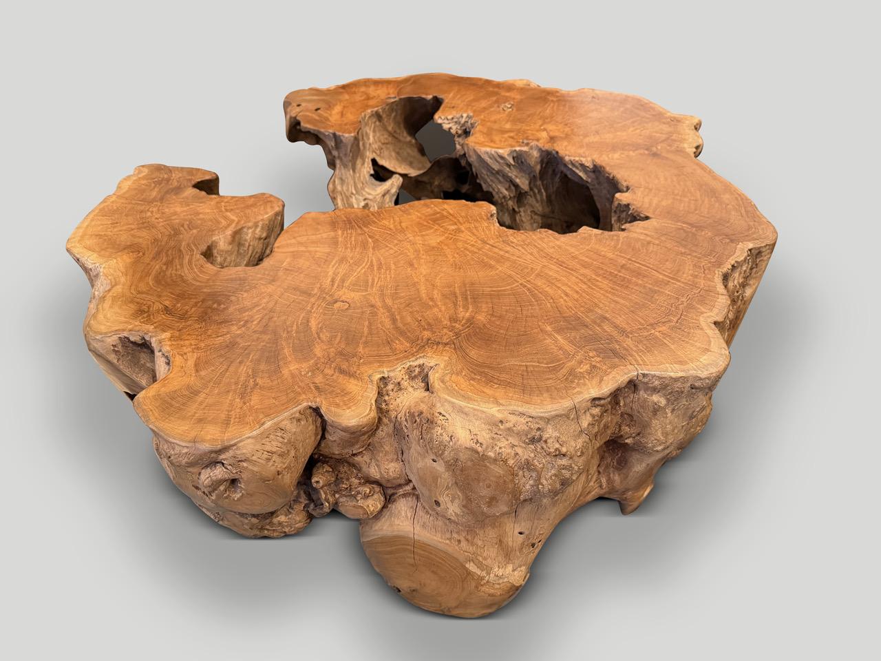 Andrianna Shamaris Impressionnante table basse sculpturale en bois de teck centenaire en vente 2