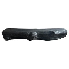 Andrianna Shamaris Impressive Sculptural Charred Teak Wood Bench