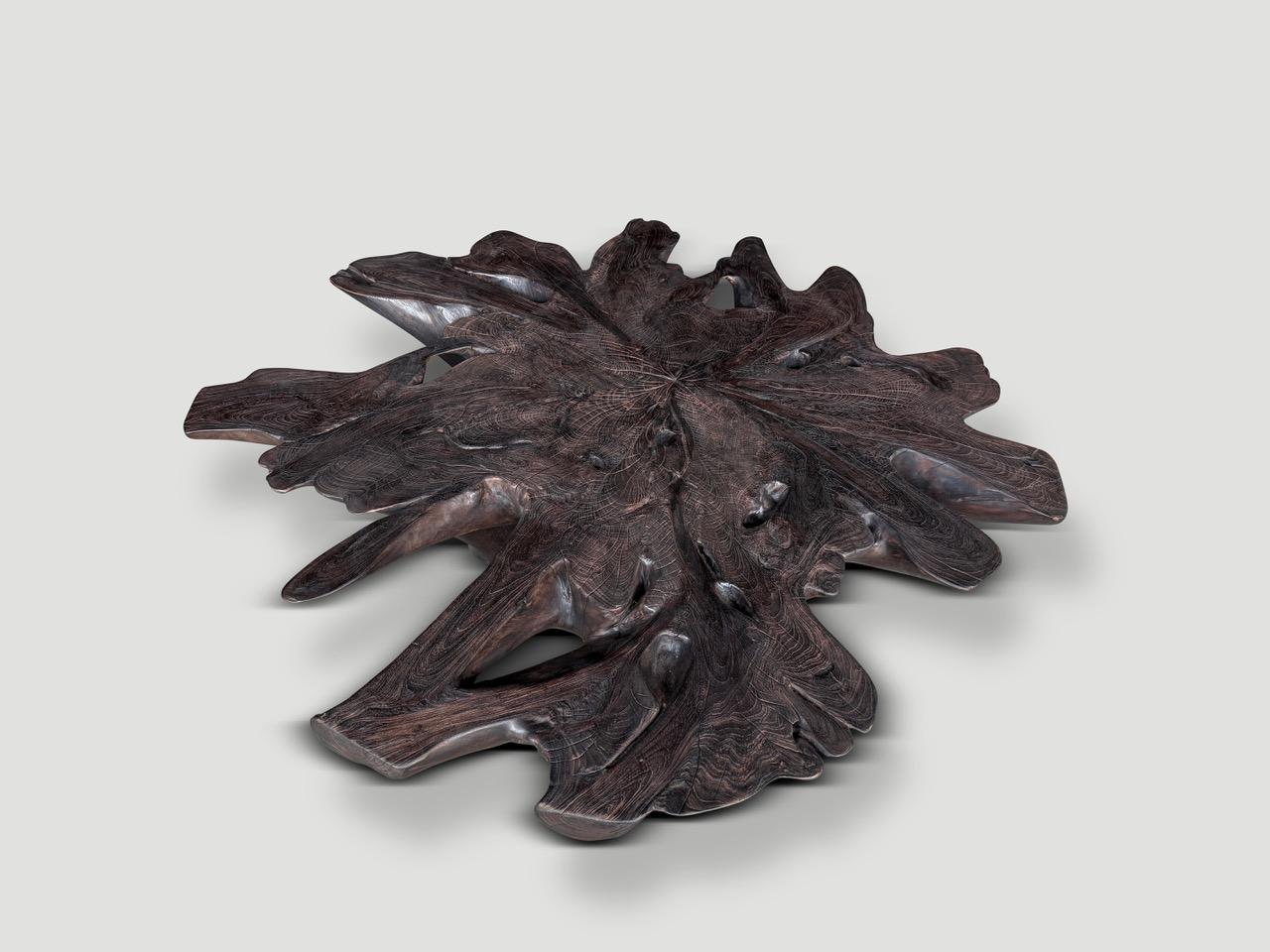 Andrianna Shamaris Beeindruckender skulpturaler Couchtisch aus Teakholzwurzelholz (Holz) im Angebot
