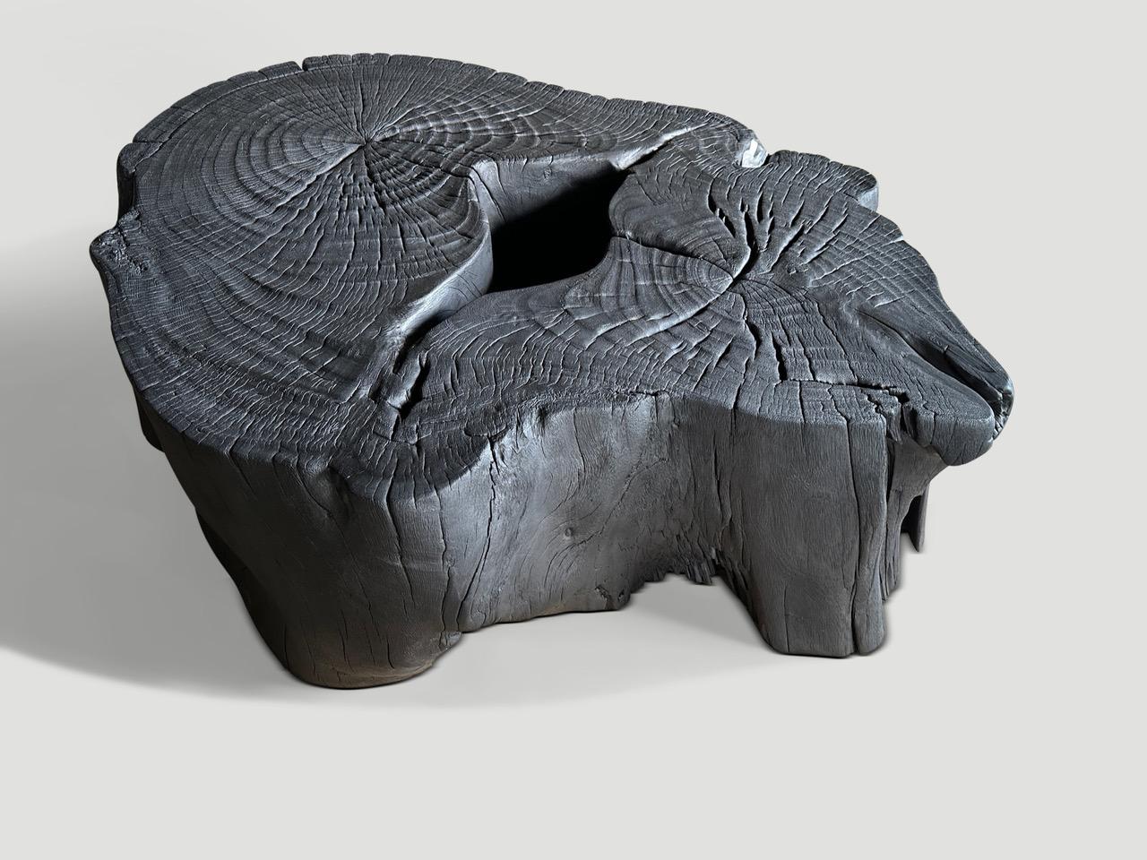 Organic Modern Andrianna Shamaris Impressive Single Root Charred Coffee Table