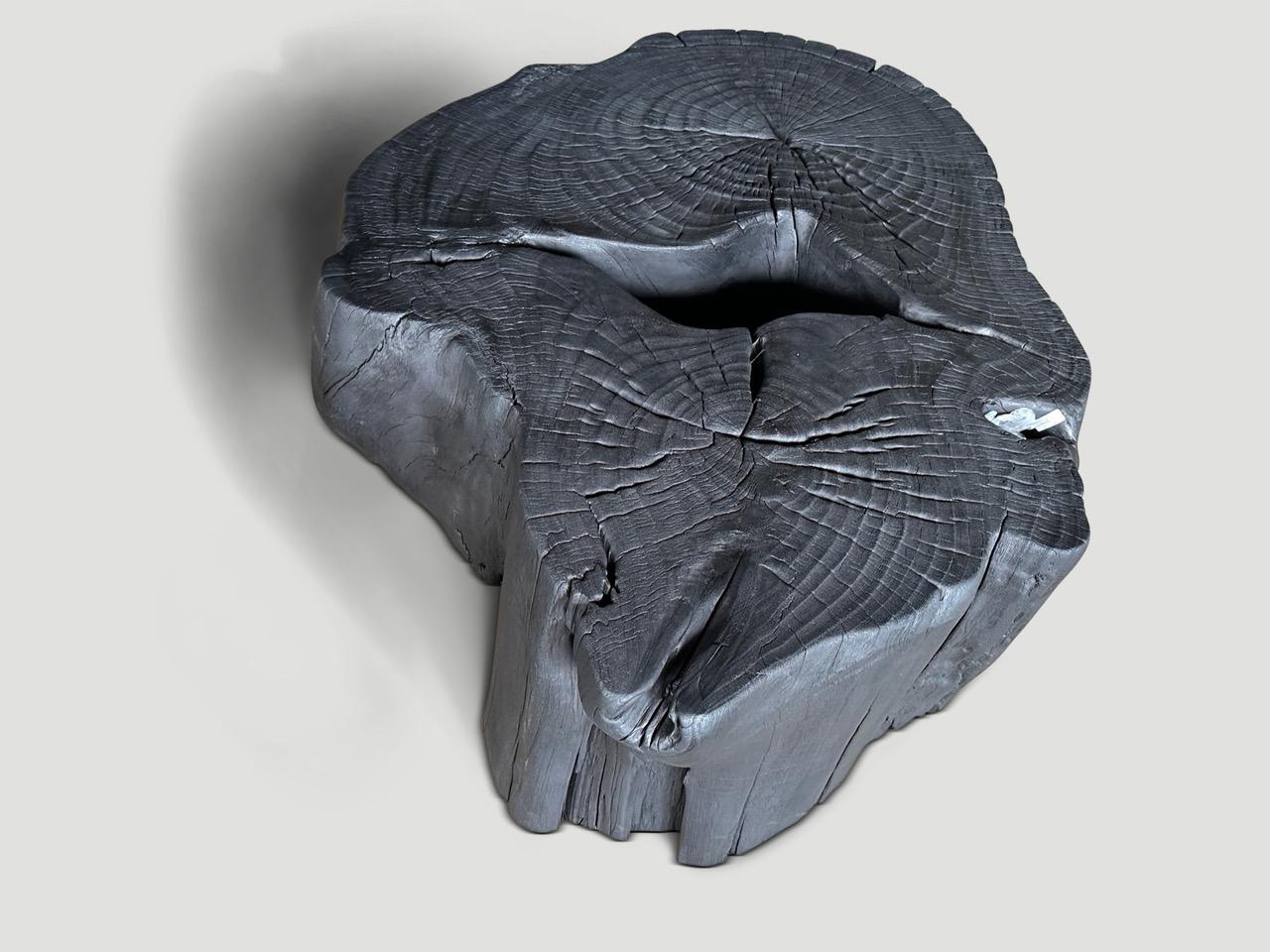Contemporary Andrianna Shamaris Impressive Single Root Charred Coffee Table
