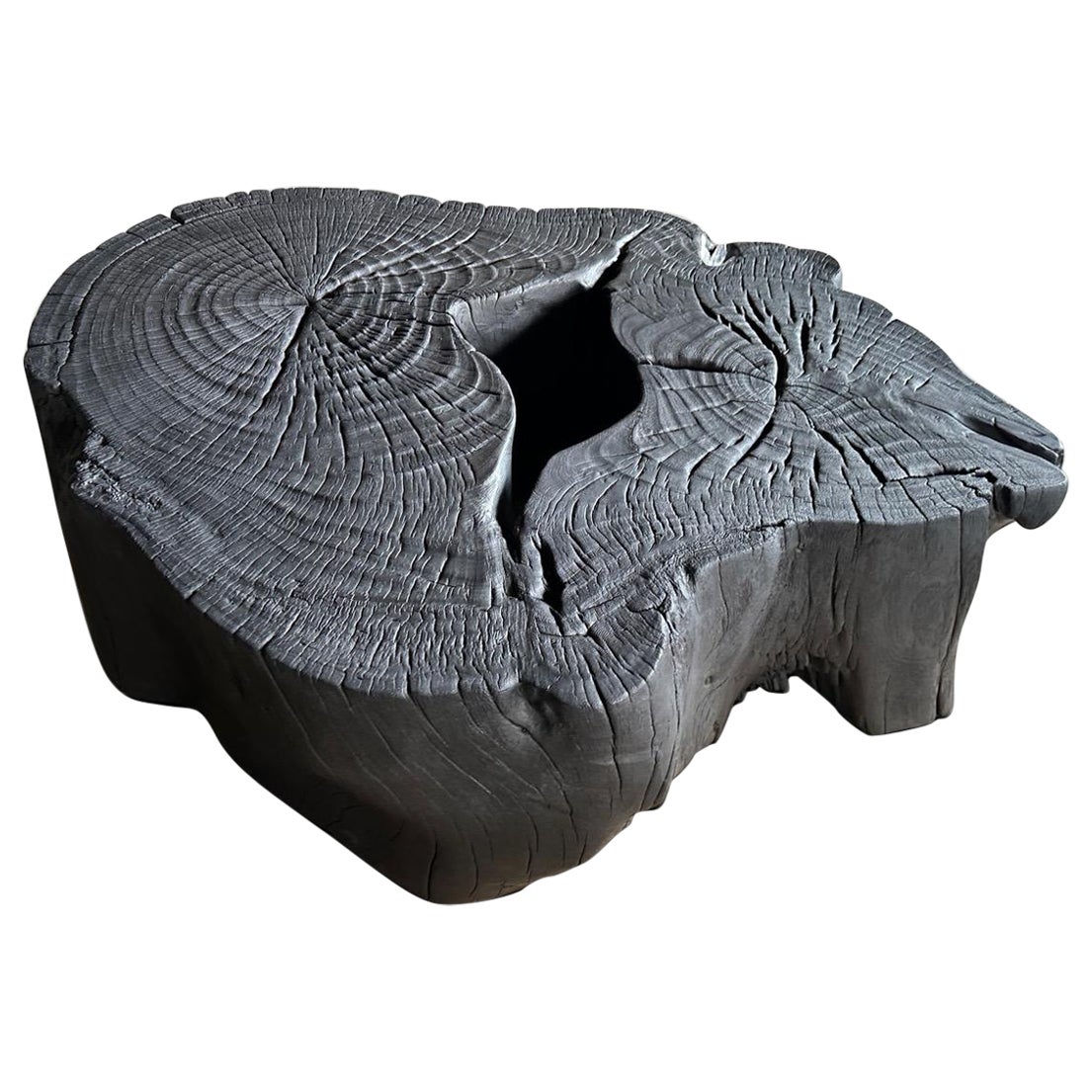 Andrianna Shamaris Impressive Single Root Charred Coffee Table