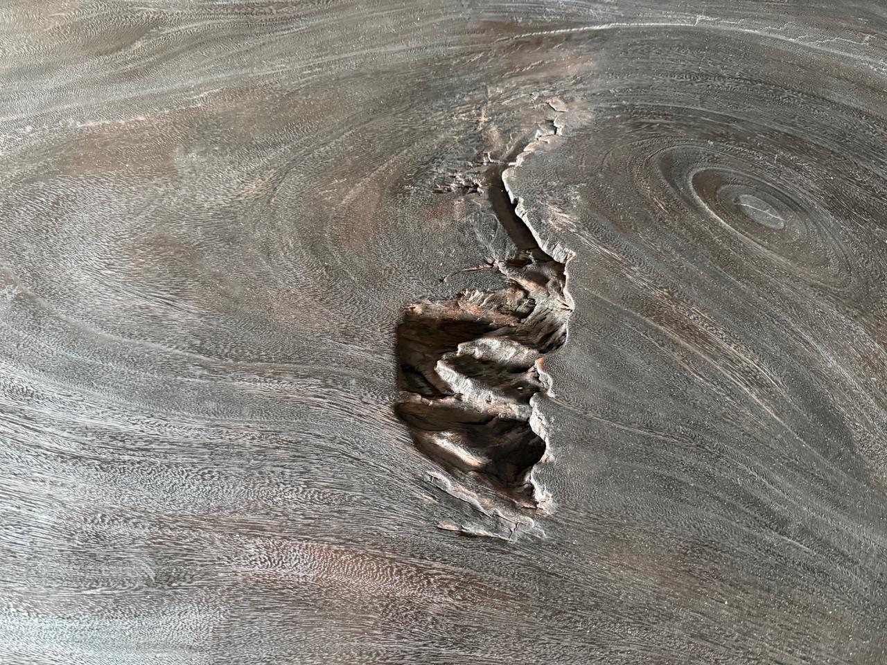 Organic Modern Andrianna Shamaris Impressive Single Slab Minimalist Coffee Table For Sale