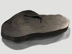 Andrianna Shamaris Impressive Single Slab Suar Wood Charred Coffee Table