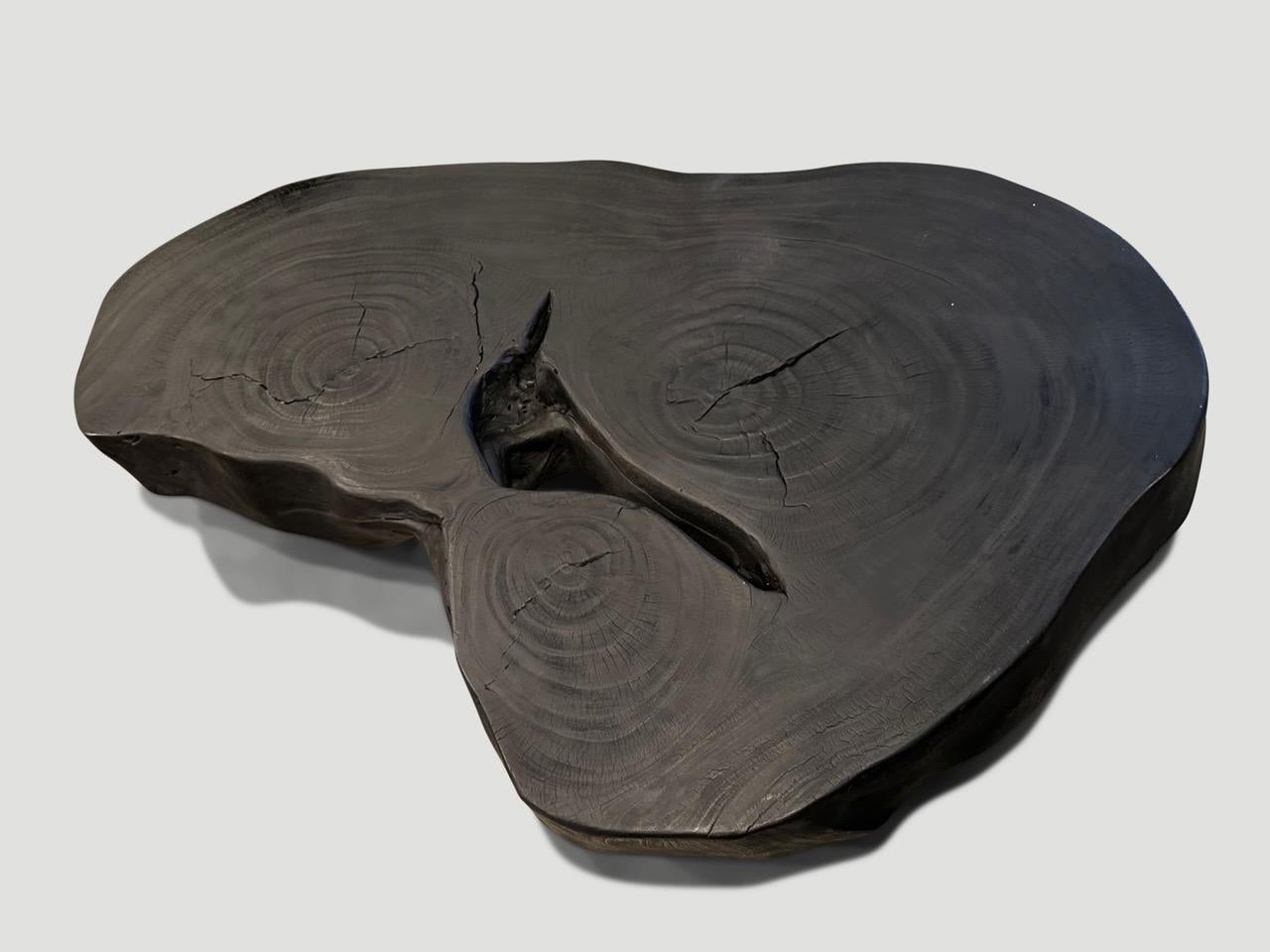 Andrianna Shamaris Impressive Single Slab Suar Wood Charred Coffee Table  In Excellent Condition For Sale In New York, NY
