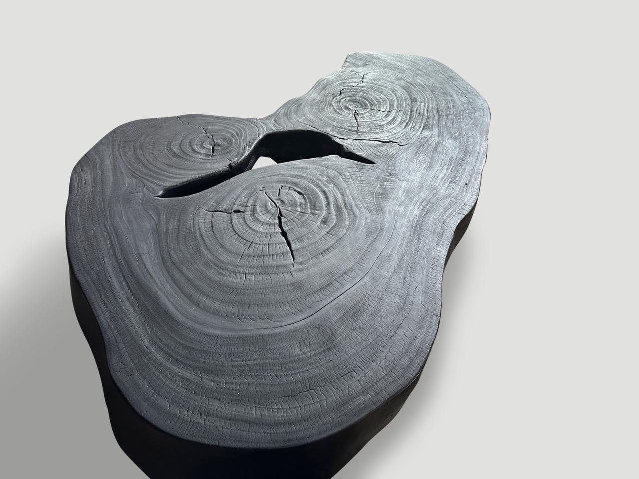 Andrianna Shamaris Impressive Single Slab Suar Wood Charred Coffee Table  For Sale 2