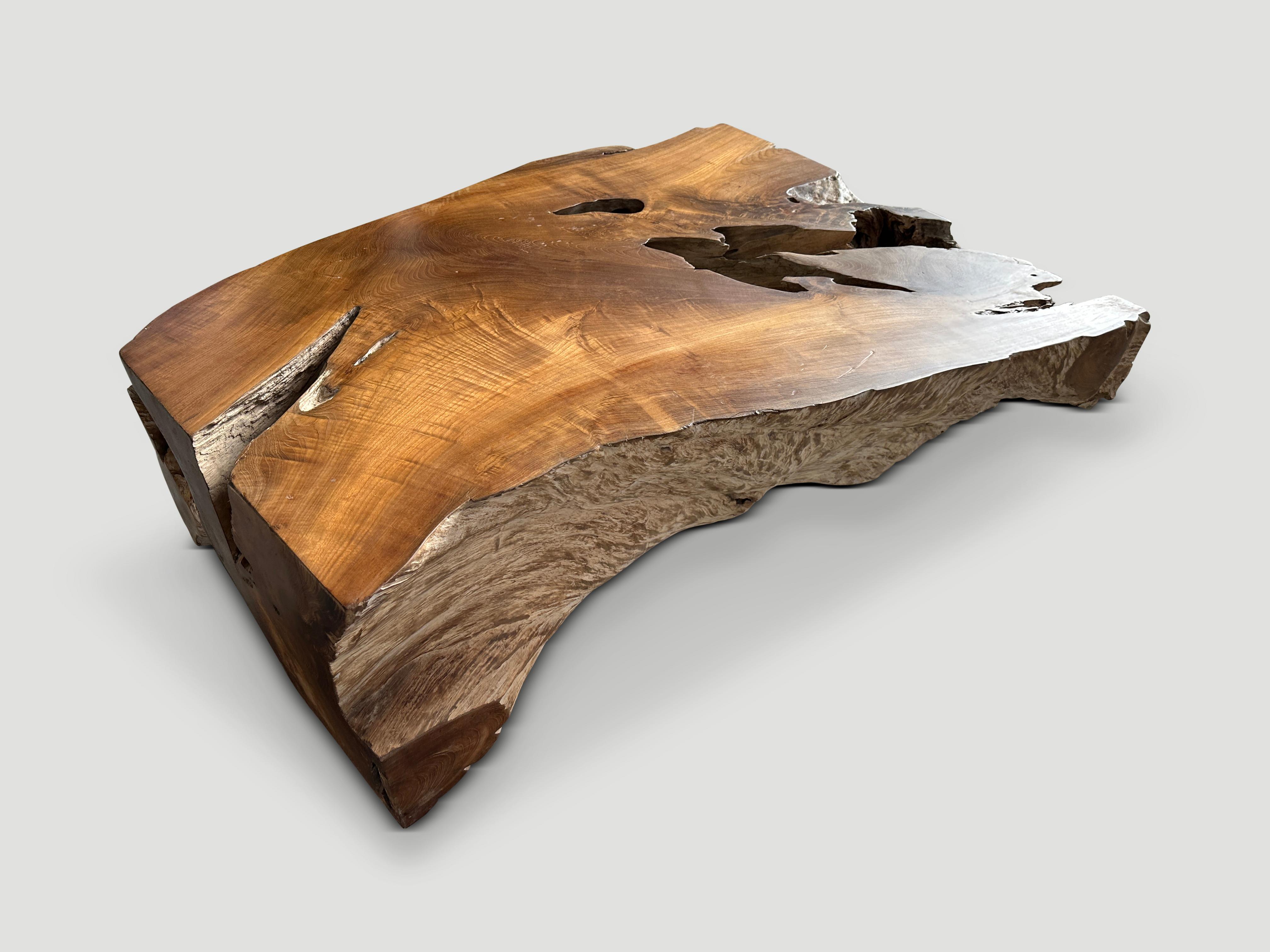 Impressive reclaimed teak root coffee table. Hand carved into this usable shape whilst respecting the natural organic wood. We polished the flat sections with a natural oil finish revealing the beautiful wood grain. The more organic sections are