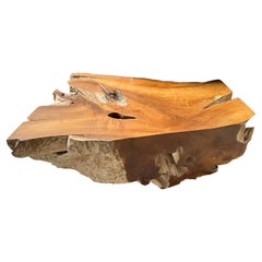 Andrianna Shamaris Impressive Single Teak Root Coffee Table