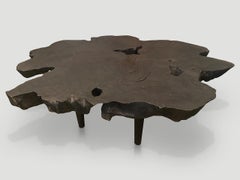 Andrianna Shamaris Impressive Single Teak Wood Slab Coffee Table