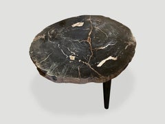 Andrianna Shamaris Impressive Super High Quality Petrified Wood Coffee Table