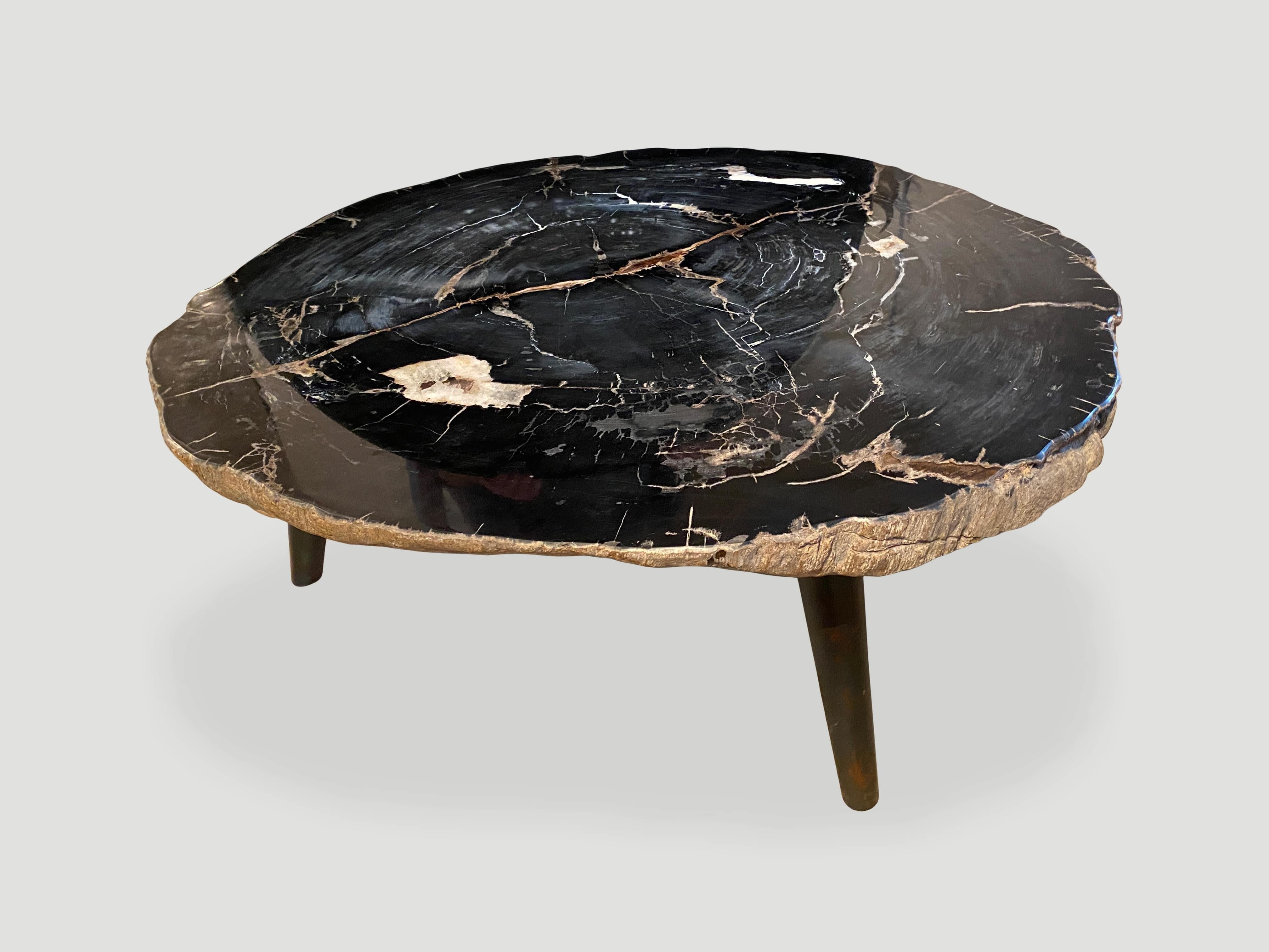 Stunning rare blue black tones on this petrified wood three inch slab coffee table. This large impressive slab is resting on a mid century style burnt metal base. Contrasting white markings and natural crystals are embedded on the top. We polished