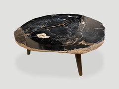 Andrianna Shamaris Impressive Super High Quality Petrified Wood Coffee Table