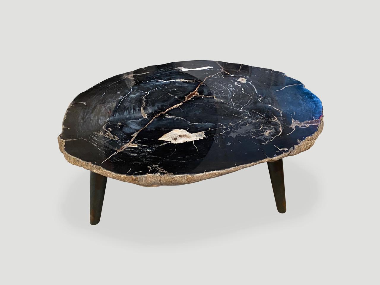 fossilized wood table