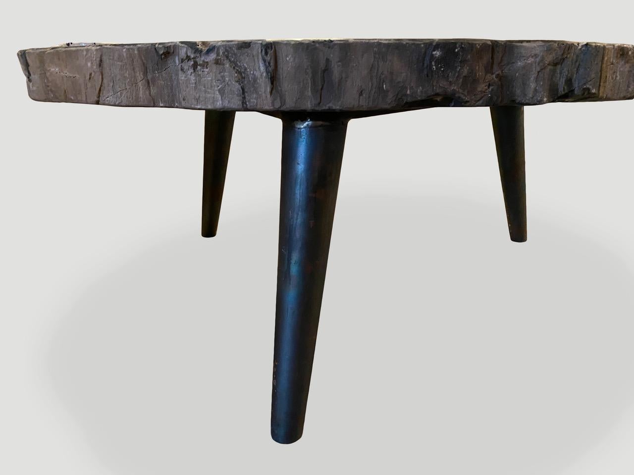 Andrianna Shamaris Impressive Super High Quality Petrified Wood Coffee Table In Excellent Condition In New York, NY