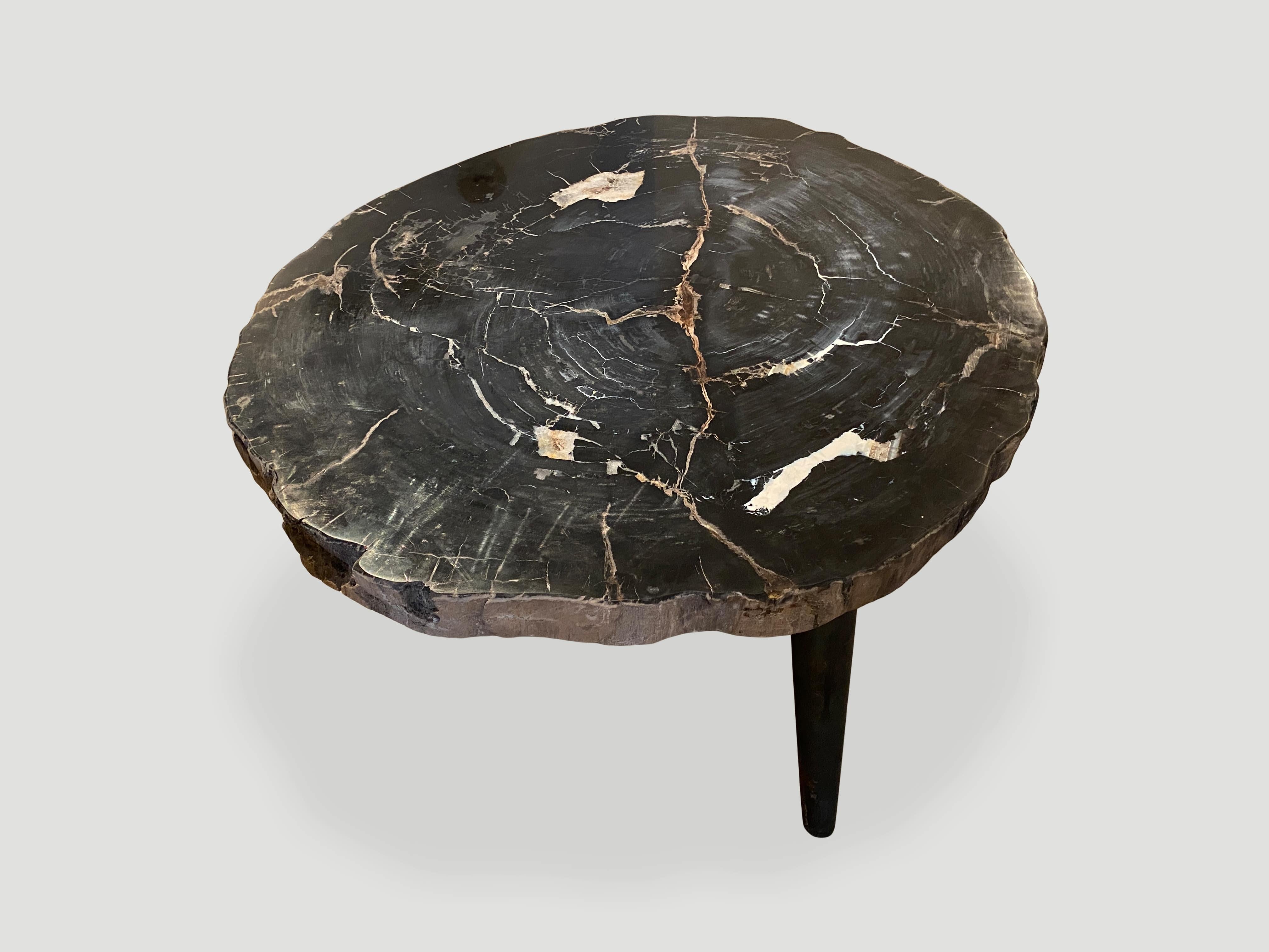 Andrianna Shamaris Beeindruckender Couchtisch in hoher Qualitt aus versteinertem Holz (21. Jahrhundert und zeitgenössisch) im Angebot