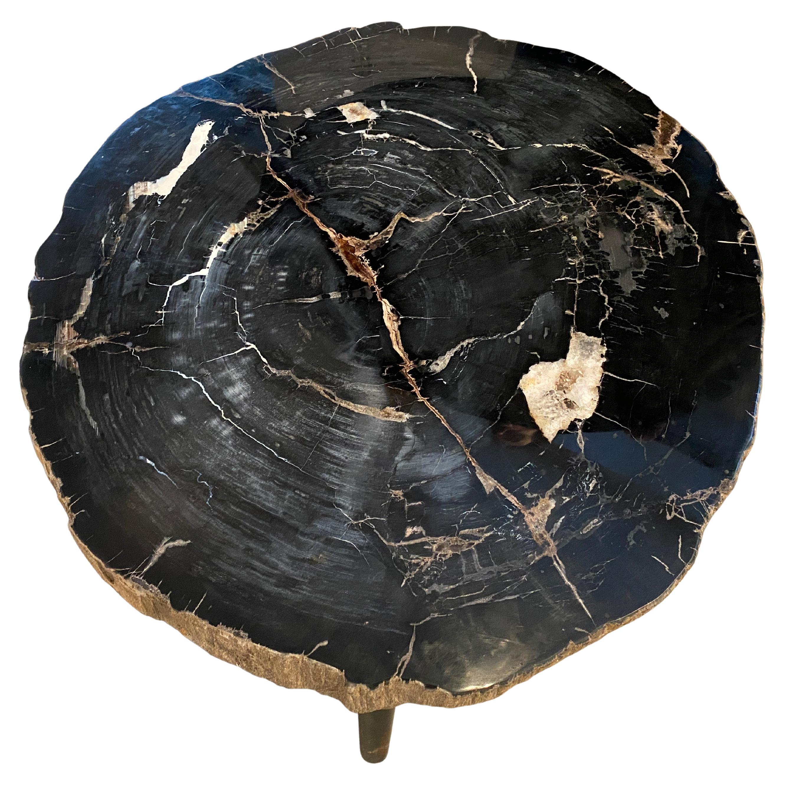 Andrianna Shamaris Impressive Super High Quality Petrified Wood Coffee Table For Sale